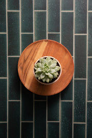 Bessie Bakes Super-Thin Green Subway Tile with White Grout Replicated Photography Backdrop 2 Feet Wide x 3 Feet Long