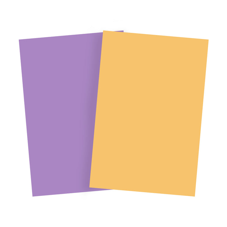 Bessie Bakes Lavender Sunset Solid Color Roll-Up 2 Feet x 3 Feet Photography Backdrops 2 Pack