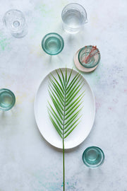 Glasses and palm leaf on a plate on subtle pastel backdrop